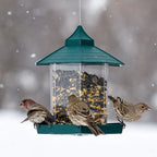 Wild Bird Feeder
