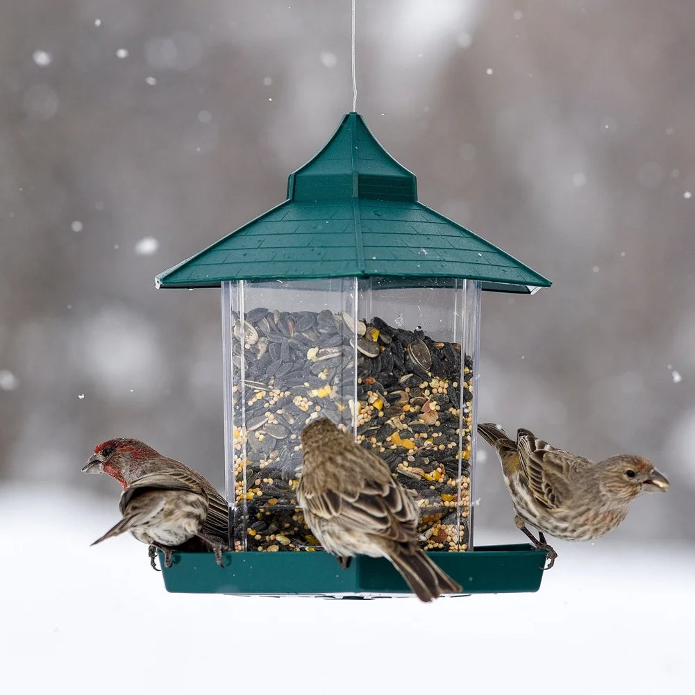 Wild Bird Feeder