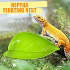 Frog Habitat Leaf Suction Cups