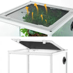 30 Gallon Glass Terrarium