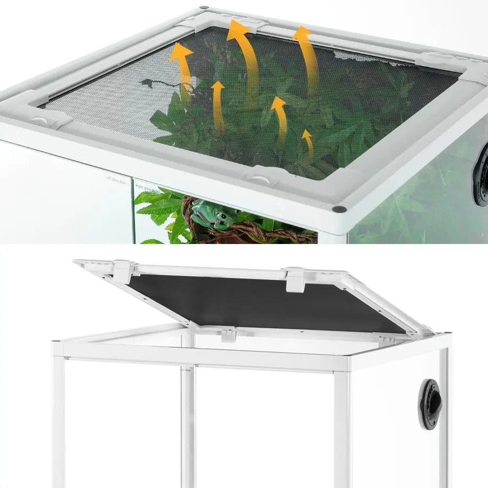 30 Gallon Glass Terrarium