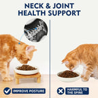 Cat Bowl Stand with Ceramic Dishes