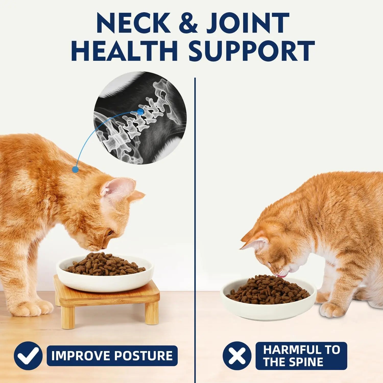 Cat Bowl Stand with Ceramic Dishes