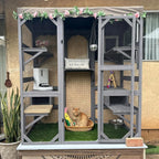 Cat House