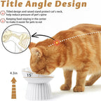 Elevated Ceramic Cat Bowl with 15° Tilt