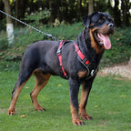 Dog Harness Reflective M/L Tactical Vest