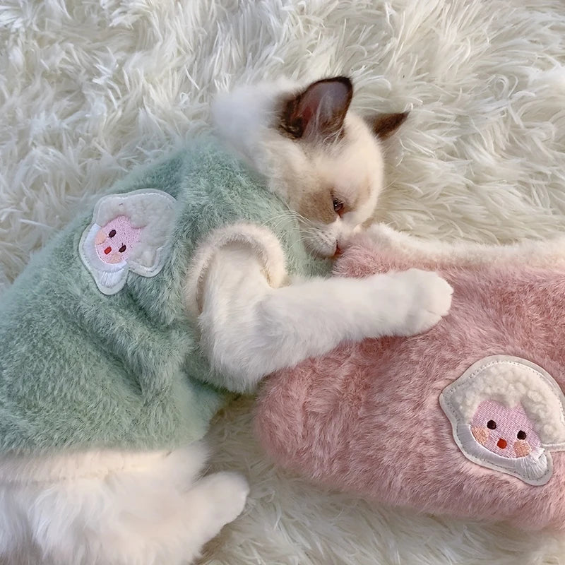 Cats Warm Kittens Clothes