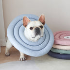 Elizabeth Dog/Cat Collar