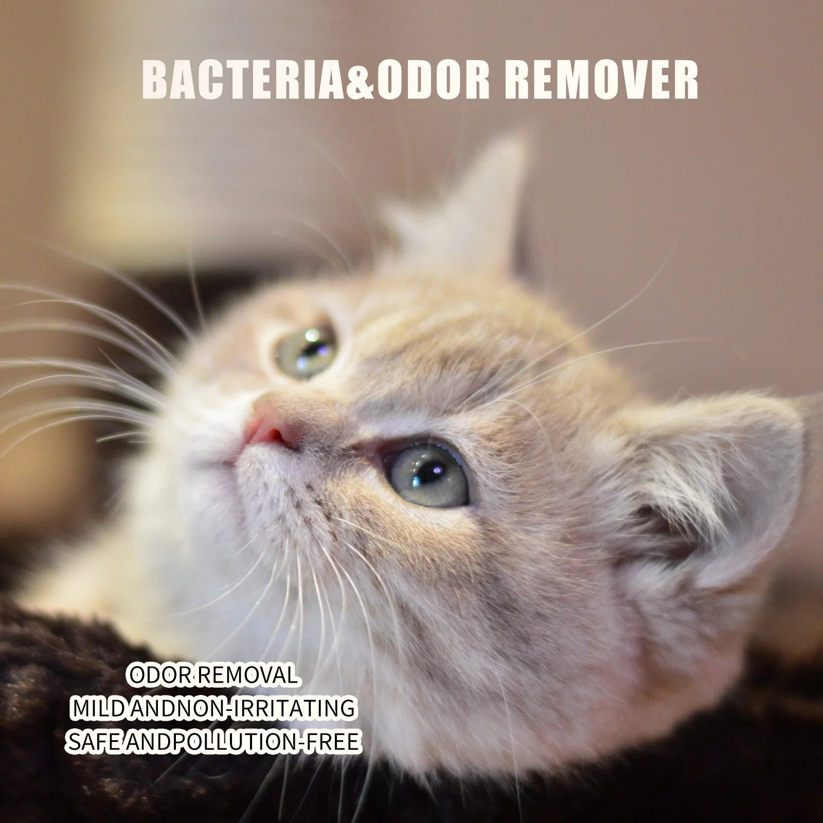 Pet deodorant spray cat litter
