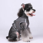 Pet Harness With Air-tag Tracker/Leash Set
