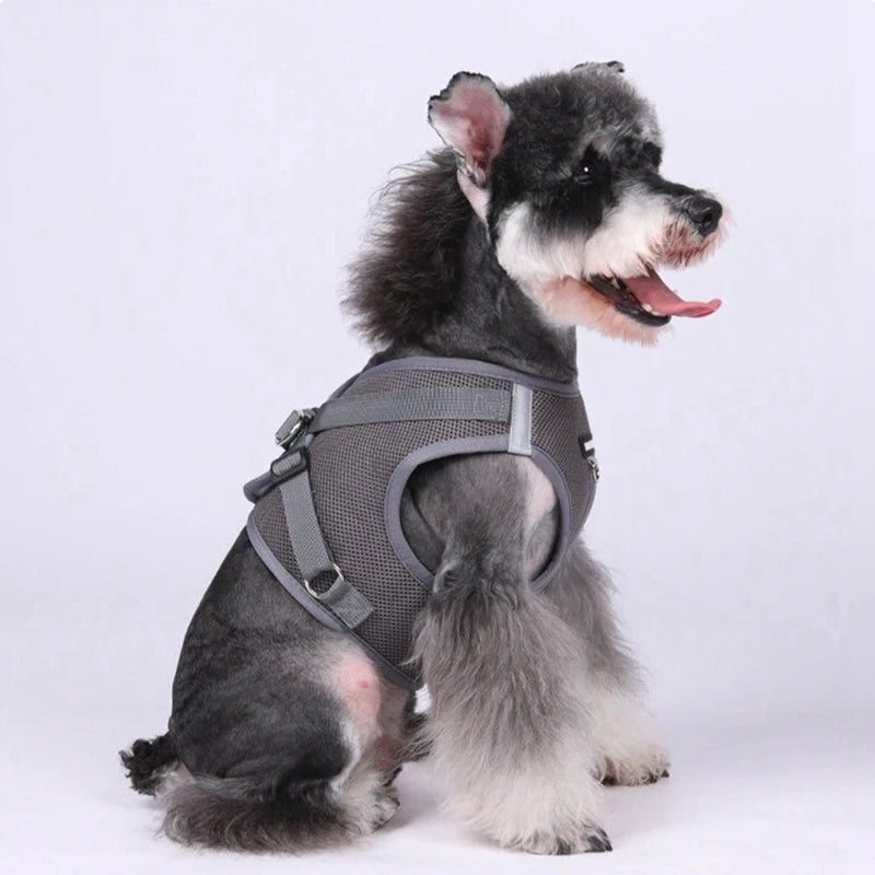 Pet Harness With Air-tag Tracker/Leash Set