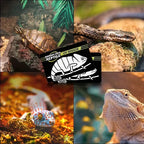 Reptile UVA UVB Fluorescent Lamp Tester