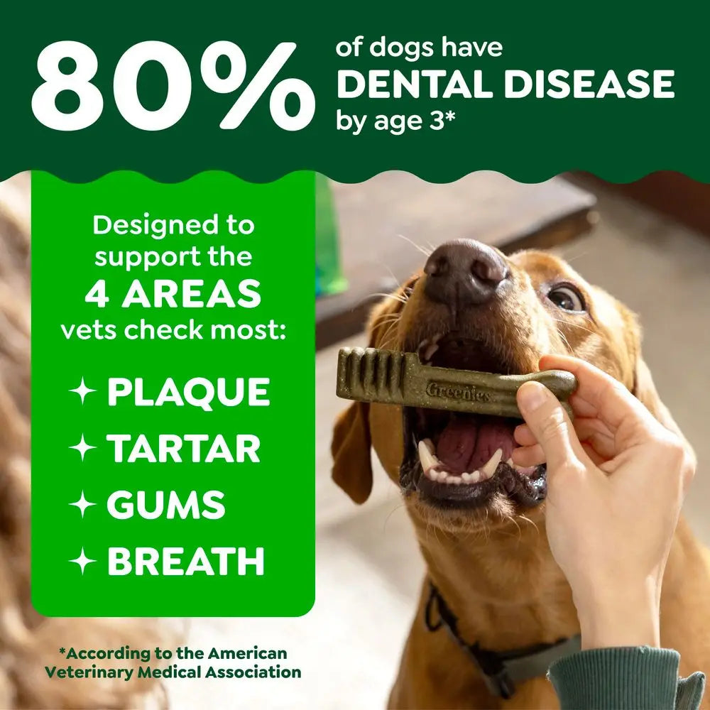 Vet Recommended Dental Treats