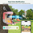Smart Bird Feeder