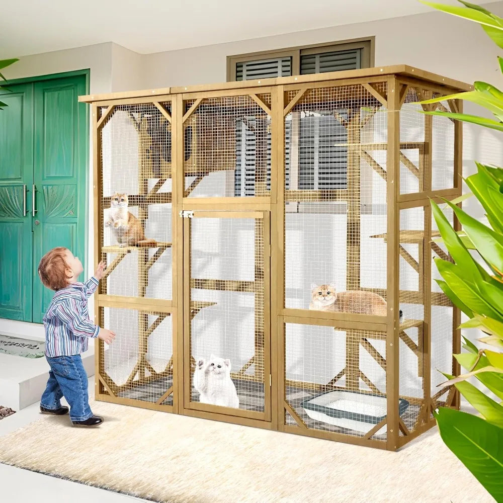 Cat House
