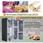 Cat House Cover