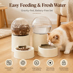 Keep Cats Fed & Hydrated Easily