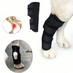 Prevent Chew Licking Hock Joint