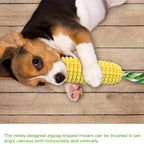 Indestructible Dog Chew Toy