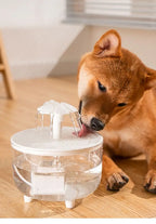 USB Pet Water Fountain