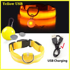 Usb Charging Glowing Dog Collar
