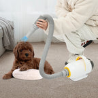 Automatic Pet Dryer Machine