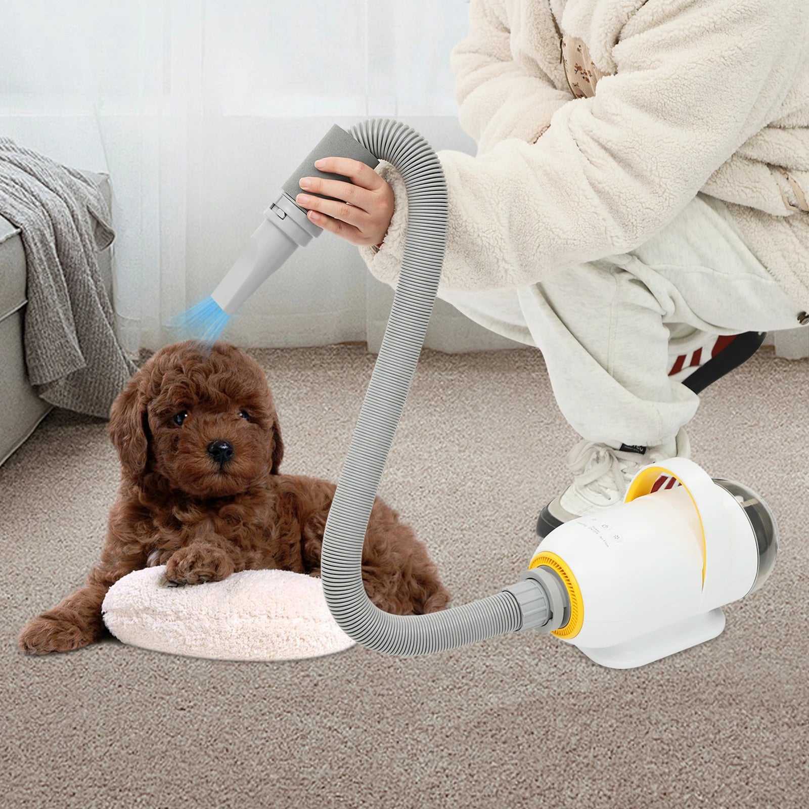 Automatic Pet Dryer Machine