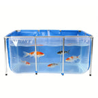 Above Ground Fish Tank