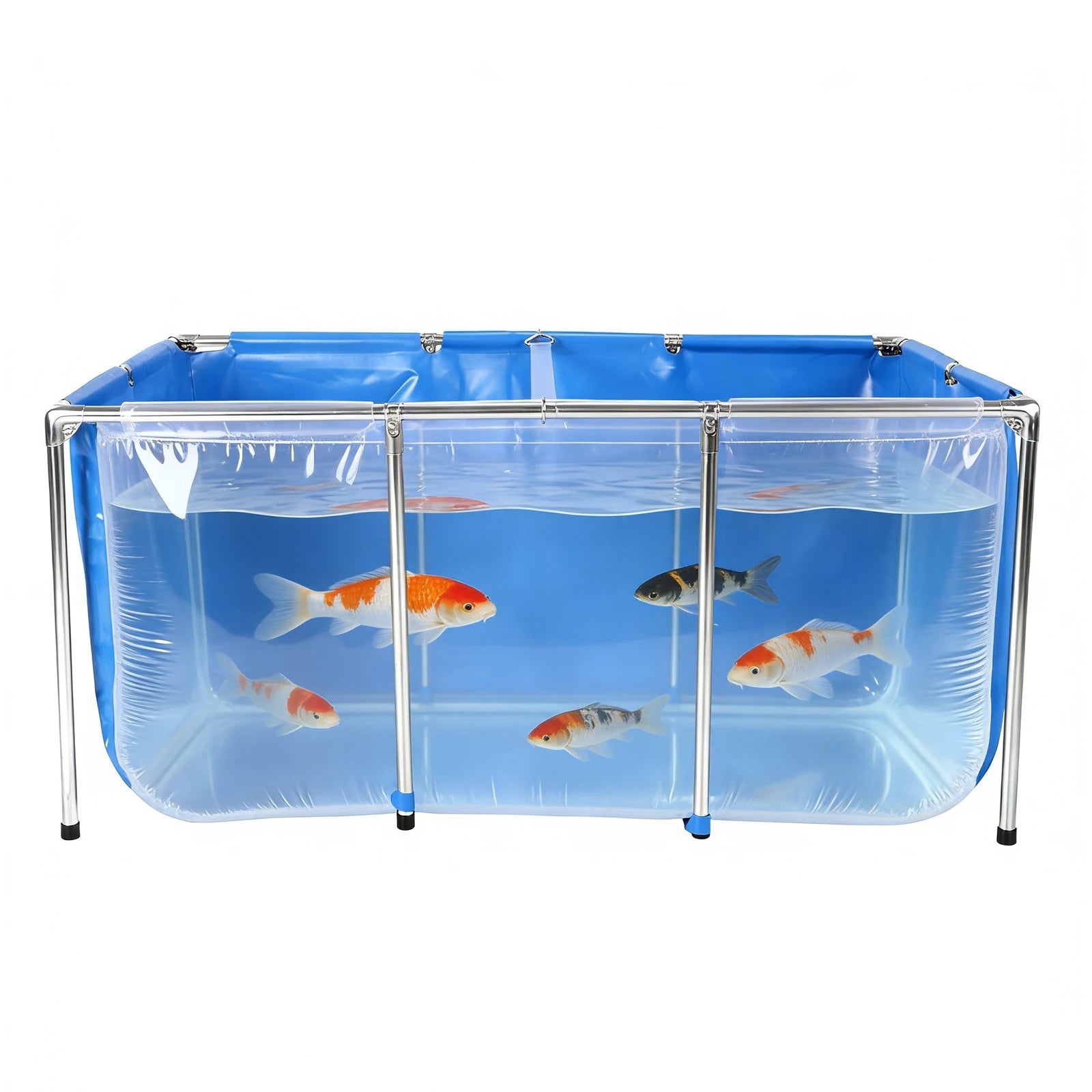 Above Ground Fish Tank