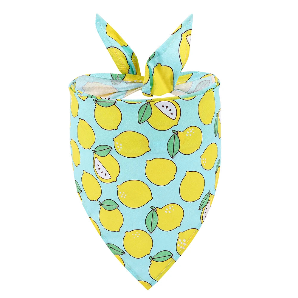 Dog Bandana Fruit Floral Spring