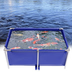 Fish Tank Swimming Pool