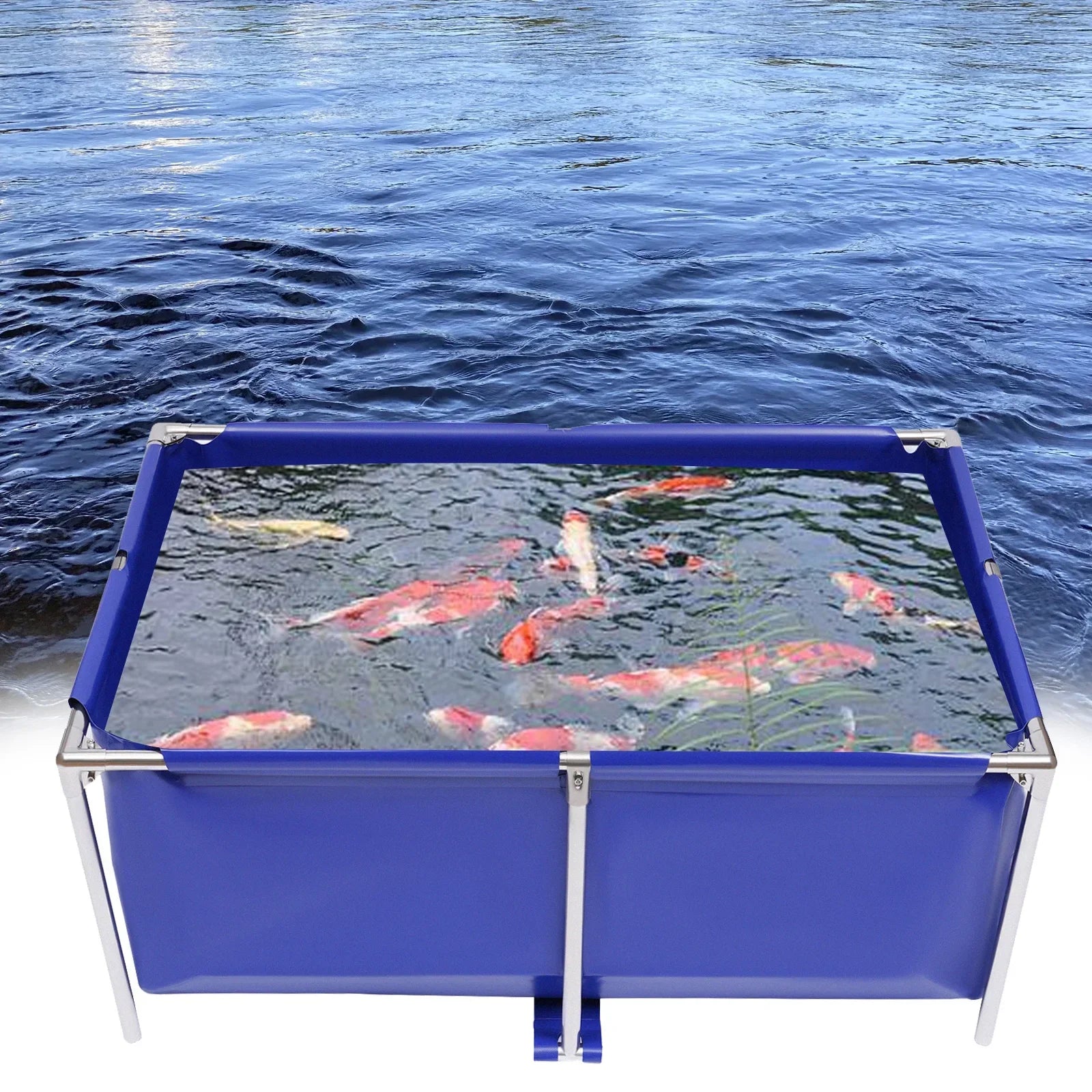 Fish Tank Swimming Pool