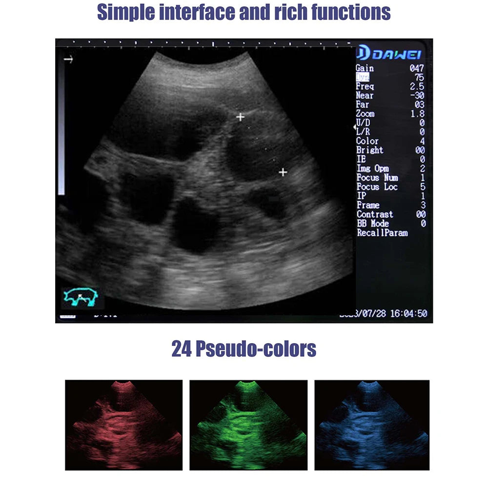 Veterinary Ultrasound Scanner