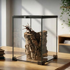Glass Tarantula Enclosure
