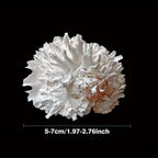 1pc Sea Chrysanthemum Shell Decor