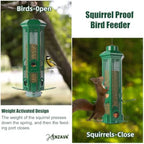 Squirrel Proof Bird Feeders