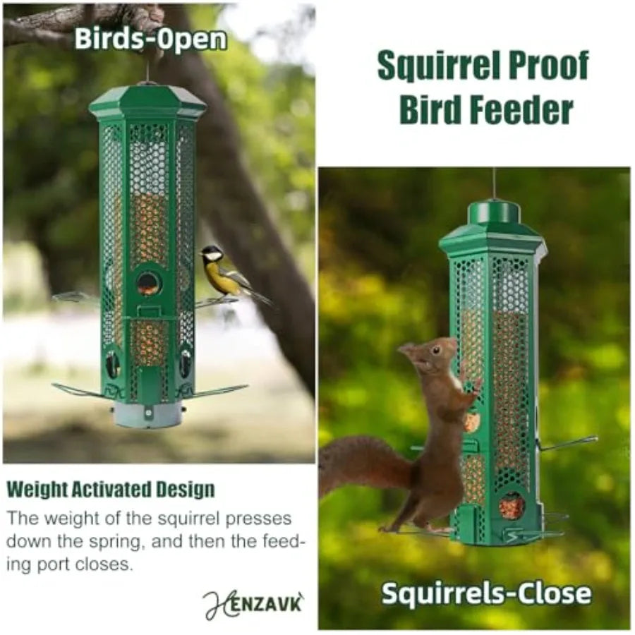 Squirrel Proof Bird Feeders