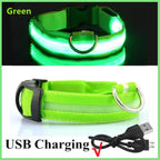 USB Charging LED Dog Collar