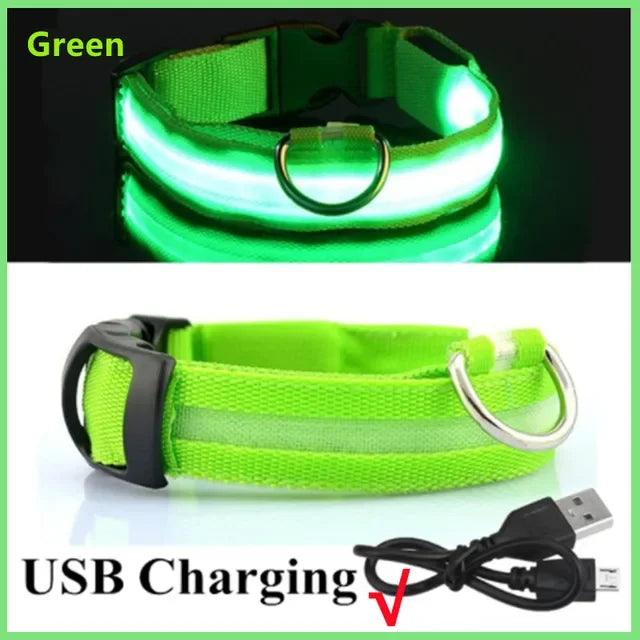 USB Charging LED Dog Collar
