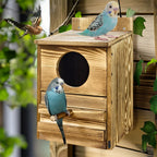 Screech Owl House