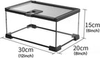 Mini Glass Terrarium Tank