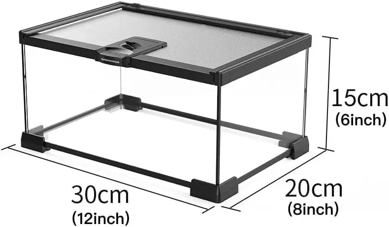Mini Glass Terrarium Tank