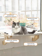 Cat window sill, cat window hammock