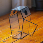 Glass Enclosure for Jumping Spiders