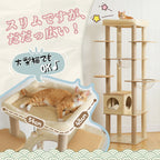 Multi-Level Cat Tree
