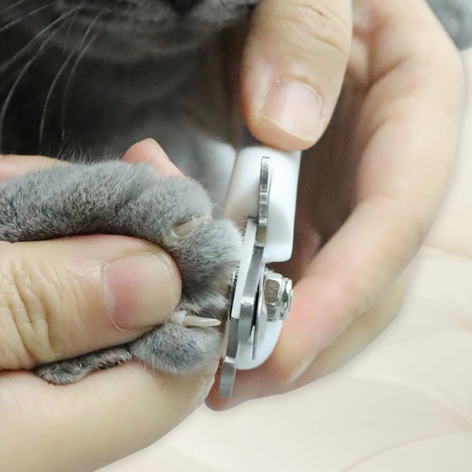 Professional Pet Nail Clippers