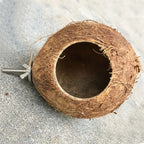 Hideaway Birds/Reptile