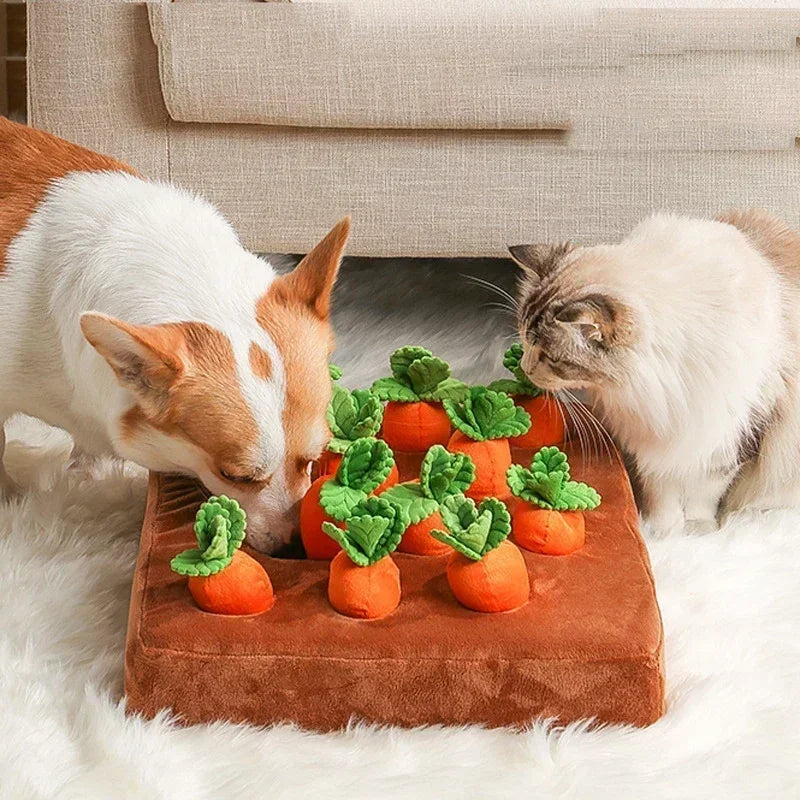 Innovative Dog Toys Snuffle Mat