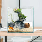 Rimless Aquarium Tank, 6.6 Gal.