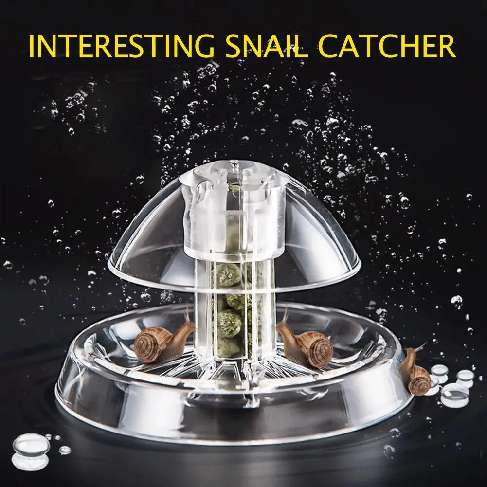 Grass Tank Snail Removal Trapping